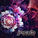 Cover: Jacob - Perfect Drug