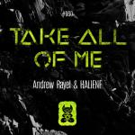 Cover: Andrew Rayel & HALIENE - Take All Of Me