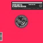 Cover: David Guetta & Martin Solveig - Thing For You
