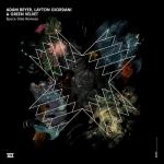 Cover: Adam Beyer &amp; Layton Giordani &amp; Green Velvet - Data Point