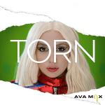 Cover: MAX - Torn
