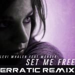 Cover: Levi Whalen feat. Wonder - Set Me Free (Erratic Remix)