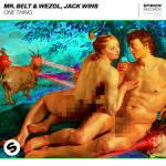 Cover: Mr. Belt & Wezol & Jack Wins - One Thing