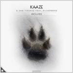 Cover: KAAZE & Sam Tinnesz feat. Silverberg - Wolves