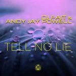 Cover: DJ Fait & Andy Jay Powell - Tell No Lie