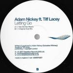 Cover: DJ Adam Nickey Feat. Tiff Lacey - Letting Go