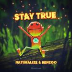 Cover: Naturalize &amp;amp; Benzoo - Not For Me