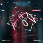 Cover: Shapov feat. Cal - Chasing Shadows