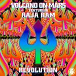 Cover: Raja Ram - Revolution
