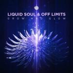Cover: Liquid Soul & Off Limits - Grow & Glow