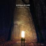 Cover: Somna &amp; Cari - The First Year