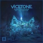 Cover: Vicetone feat. Haley Reinhart - Something Strange