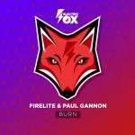 Cover: Firelite & Paul Gannon - Burn