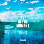 Cover: Teyo - Live In The Moment