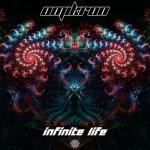 Cover: Omikron - Infinite Life