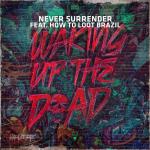 Cover: Never Surrender feat. How To Loot Brazil - Waking Up The Dead