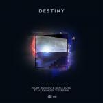 Cover: Nicky Romero & Deniz Koyu ft. Alexander Tidebrink - Destiny