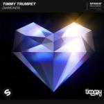 Cover: Timmy Trumpet - Diamonds
