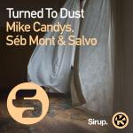 Cover: Salvo - Turned To Dust