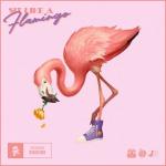 Cover: Half an Orange &amp; Disero &amp; Josh Bogert - Sit Like A Flamingo