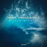 Cover: Soul - Hidden Miracle