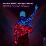 Cover: Andrew Rayel & Roxanne Emery - Never Going Down