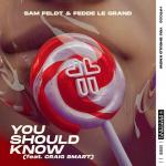 Cover: Sam Feldt &amp; Fedde Le Grand ft. Craig Smart - You Should Know