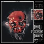 Cover: Josh Rubin - Voices