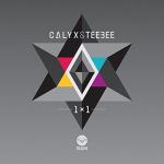 Cover: Calyx &amp;amp;amp;amp;amp; Teebee - Takes One To Know One