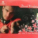 Cover: David Vendetta - Love To Love You Baby