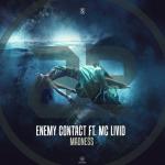 Cover: Enemy - Madness
