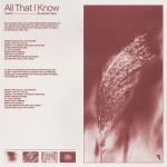 Cover: Dylan - All That I Know