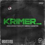 Cover: Krimer feat. Micah Martin - Resurrection