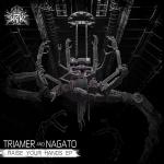 Cover: Triamer & Nagato - Your Soul