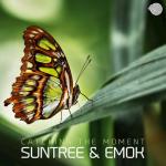 Cover: Suntree - Catching The Moment