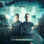 Cover: Voidax &amp; Dawnfire - Madness
