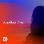 Cover: Steve - Another Life