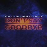 Cover: Ilkay Sencan - Don't Say Goodbye