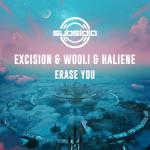 Cover: Excision & Wooli & HALIENE - Erase You