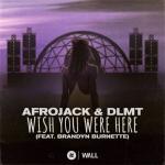 Cover: Afrojack & DLMT feat. Brandyn Burnette - Wish You Were Here
