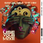Cover: Sam Feldt & The Him feat. Goldford - Use Your Love