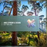 Cover: James Dymond &amp; Susana - Is It Too Late