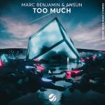 Cover: Marc Benjamin & Ansun - Too Much
