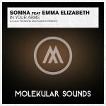 Cover: Somna feat. Emma Elizabeth - In Your Arms