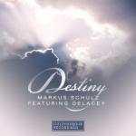 Cover: Markus Schulz feat. Delacey - Destiny