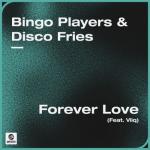 Cover: Bingo Players & Disco Fries feat. Viiq - Forever Love