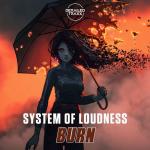 Cover: Loudness - Burn