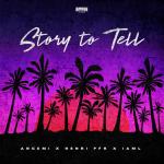 Cover: Henri PFR - Story To Tell