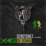 Cover: Serotonez ft. MC Shocker - Upside Down