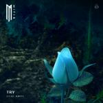 Cover: MitiS feat. RØRY - Try